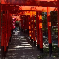 画像1388