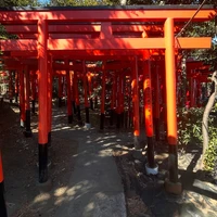 画像1389