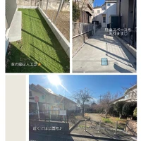 画像1433