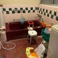画像264