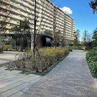 画像380