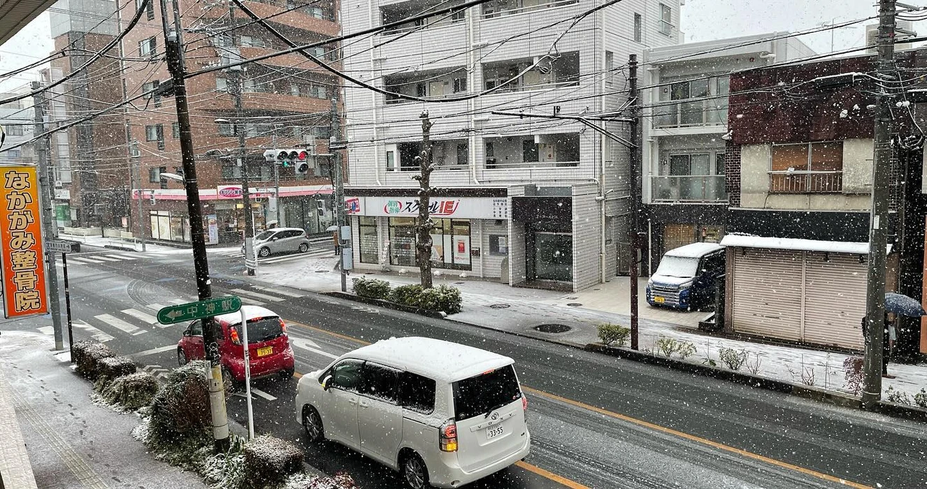 画像481