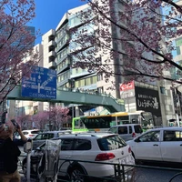 画像604