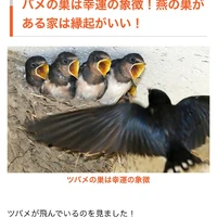 画像765