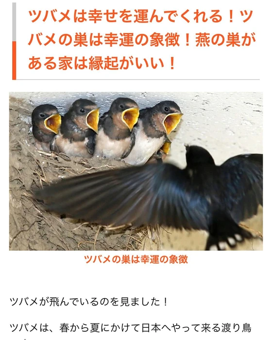 画像765