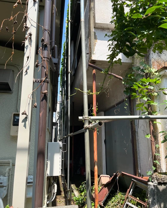 画像866