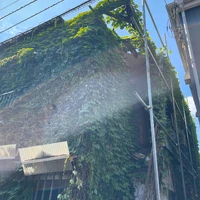 画像867