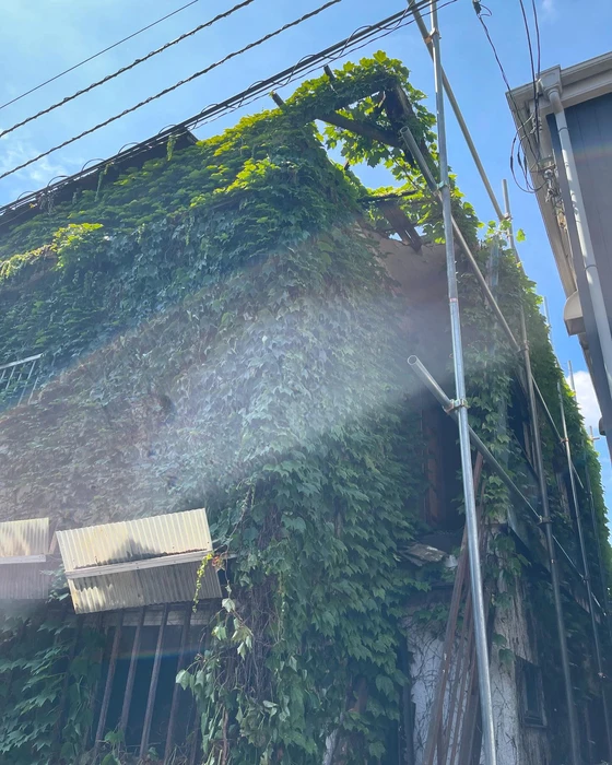 画像867