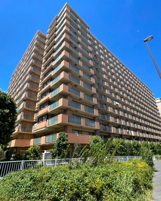 画像913